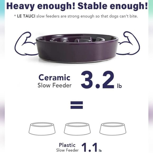 NIB LE TAUCI Dog Slow Feeder Ceramic, 1.5 Cups Slow Eater Bowl for Dogs - Picture 5 of 9